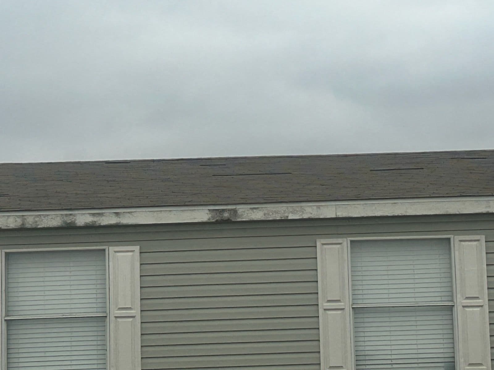 Project Roofing and Fascia Upgrade with Onyx Black Shingles image